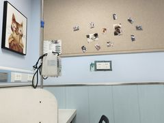 -纳吉亚猫专科动物诊疗中心(蒋宅口分院)