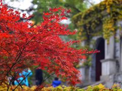 -北京鹫峰国家森林公园