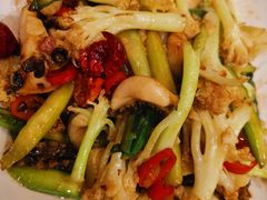 -沪碟·精菜坊(闵行店)
