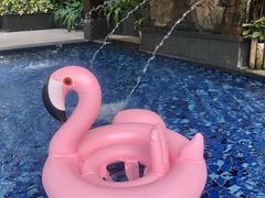 -厦门日月谷温泉渡假村