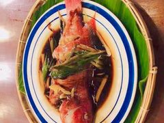 -茉莉.Red Crab