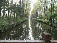 -合肥滨湖国家森林公园