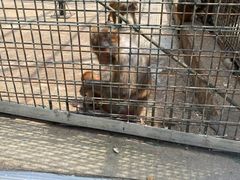 -南京金牛湖风景区