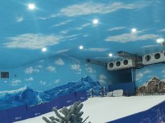 -世界之窗阿尔卑斯冰雪世界