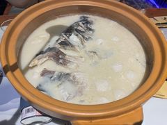 -松沪名灶·豆浆鱼头·新上海菜(飞航吾悦广场店)