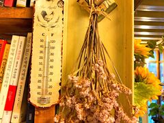 -Cafe Alice咖啡爱丽丝(奥城店)