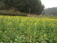 -韶山毛泽东同志故居