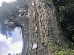 -云中大漈