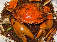 喜记正宗炒辣蟹-喜记避风塘炒辣蟹(旗舰店)