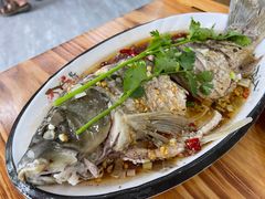 -台儿庄一绝运河鱼馆枣庄辣子鸡(古城西门店)