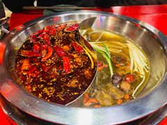 -谭鸭血老火锅(慈云寺店)