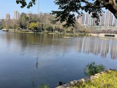 -重庆彩云湖湿地公园