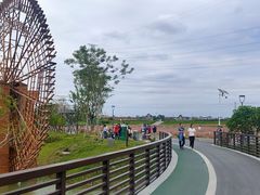 游乐设施-王借岗森林公园