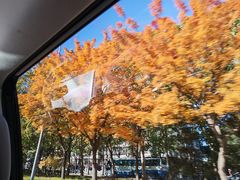 -金湖港式餐厅(建外店)