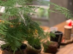 -MAP CHA普洱茶馆(翠湖店)