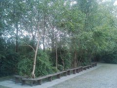 -溱湖国家湿地公园