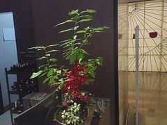 -汤泉良子·沐足·颂钵疗愈·SPA(珠江新城店)