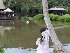 -呀诺达热带雨林