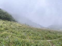 -白草畔自然风景区