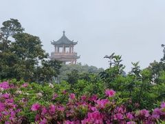 -梧桐山风景名胜区