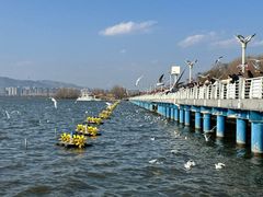 -海埂大坝