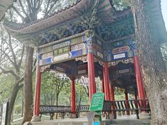 -华雅花园大酒店