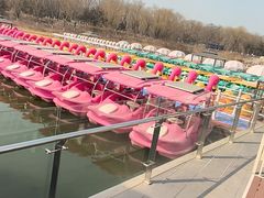 -大兴滨河森林公园