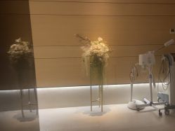 -恒美雅轩·品牌直营连锁