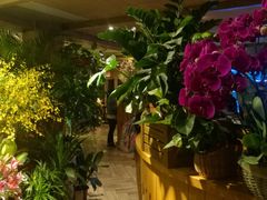 -春暖花开(西溪店)