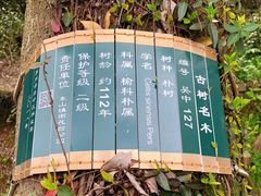 -雨花胜境