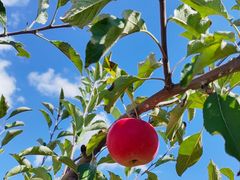 -大连北马山庄