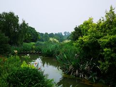 -张坝桂圆林公园