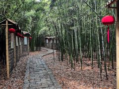 -同里国家湿地公园