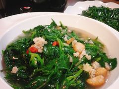 龙舌兰-海南大院(海甸岛店)