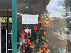 -新江湾城公园