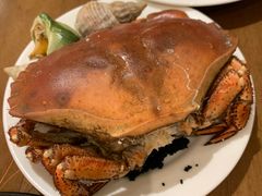 -白天鹅宾馆·流浮阁咖啡厅