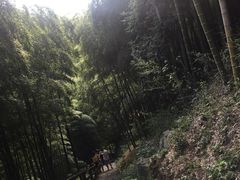 -藏龙百瀑风景区