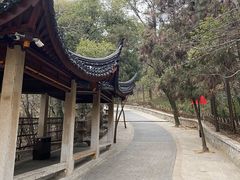 -灵岩山风景区