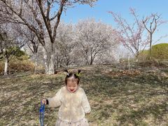 -济南国际园博园