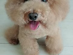 -佳雯宠物医院(四明中路分院)