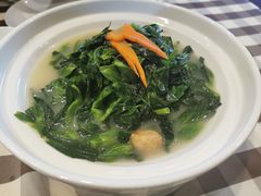 清炒豌豆尖-红色江山(首钢国际大厦店)