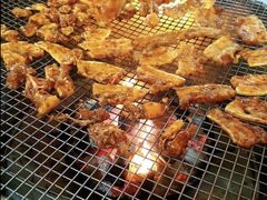-西昌藿香火盆烧烤(金西路店)