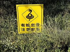 -二连浩特国家地质公园