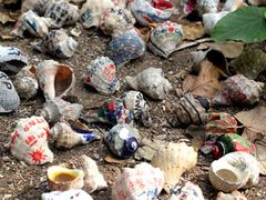 -龙坑生态保护区