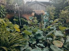 -园林美食城·本土农家菜(杨和镇店)