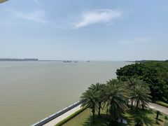 -大湾区中央湿地公园