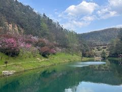 -桃花岭景区
