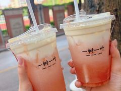-一树一叶·福建茶档(石鼓路店)