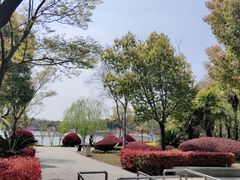 -南翔镇银翔湖公园