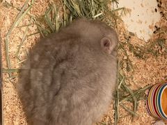 -龙猫仔乐园(惠福东路店)